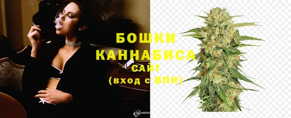 дживик Богородицк