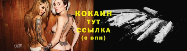 эйфоретик Богородск