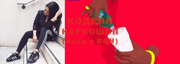 твердый Богданович