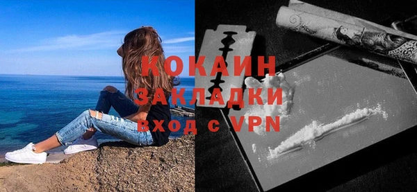 твердый Богданович