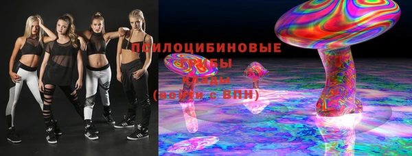 дживик Богородицк