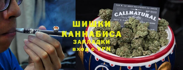 дживик Богородицк