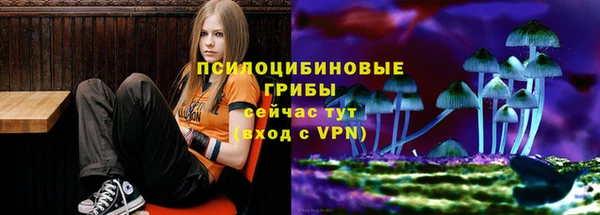 твердый Богданович