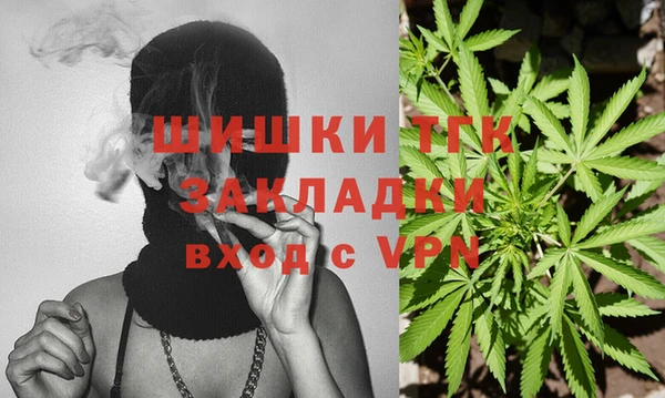 твердый Богданович