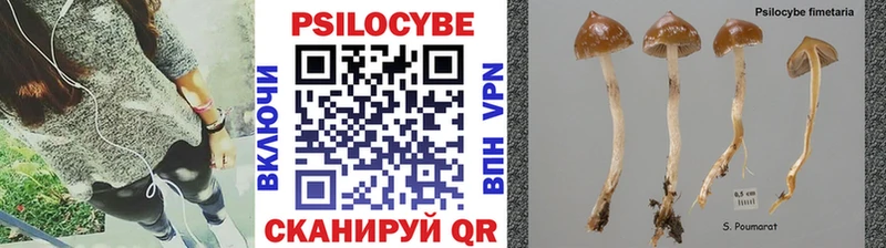 Купить закладки Могоча Псилоцибиновые грибы Cubensis